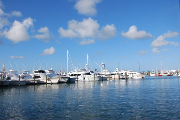Key West 29