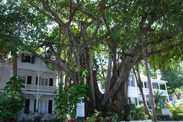 Key West 67