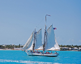 Glass bottom boat 1