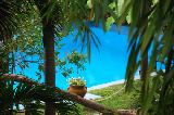 Hemingway home 8