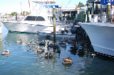 Key West 30