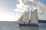 Key West 33