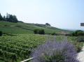 France ete 2006 200