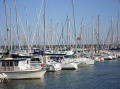 France ete 2006 260