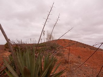 35FF8364-413E-4E1A-AAD1-3A6B36DBCF17_1_105_c.jpeg