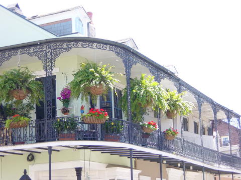New Orleans 7