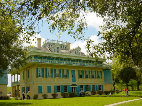 Plantation 3