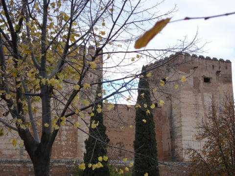 Alcazaba 1