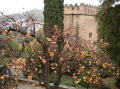 Jardins Alhambra 4