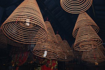 DSC_0058.JPG