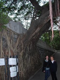 DSC_0078.JPG