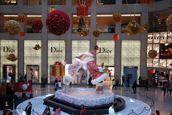 DSC_0106.JPG