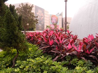DSCN1783.JPG