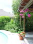 Jardin 1