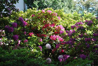 Back Up 2009 _1355.JPG