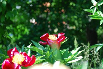 Back Up 2009 _1360.JPG