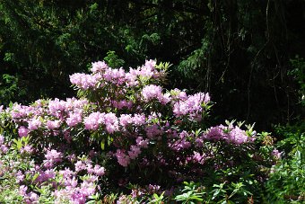 Back Up 2009 _1367.JPG