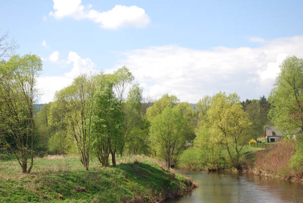 Kuks 04 2009-05