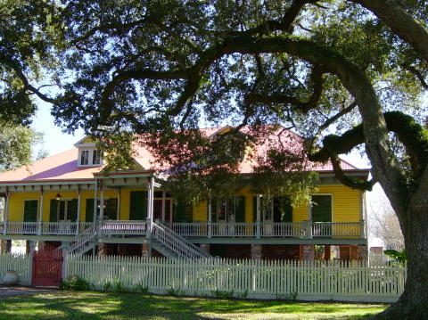 Laura plantation 1