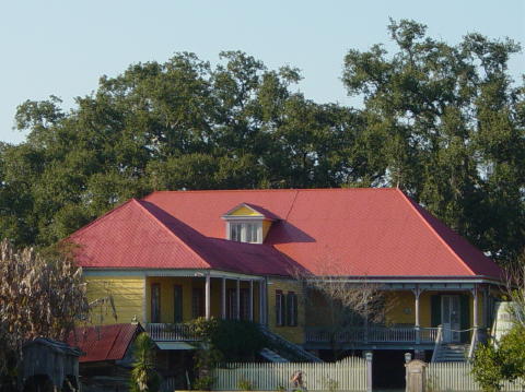 Laura plantation 3