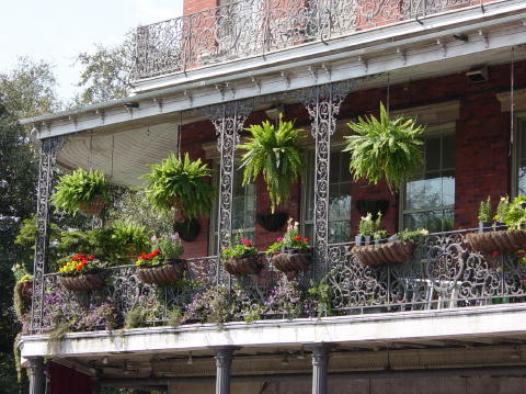 New Orleans 15