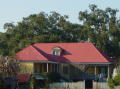 Laura plantation 3
