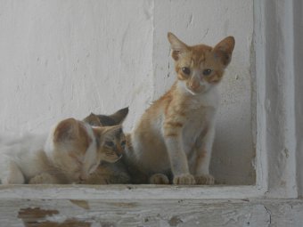 DSCN0601.JPG