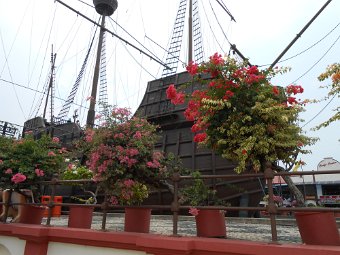 DSCN0616.JPG
