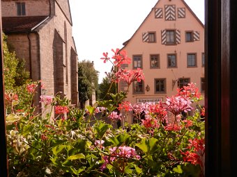 DSCN1591.JPG