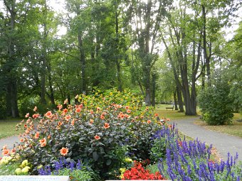 DSCN1608.JPG