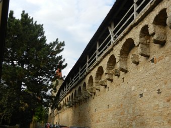 DSCN1612.JPG