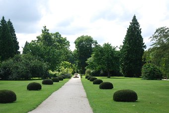 DSC_0381.JPG