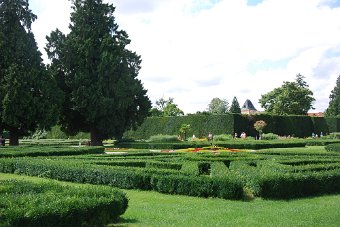 DSC_0384.JPG