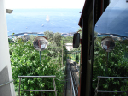 Capri 13