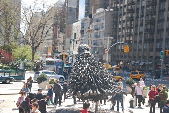 DSC_0111.JPG