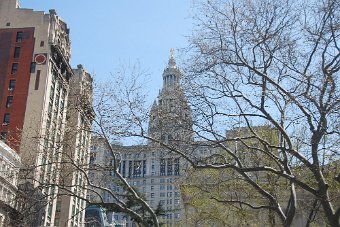 DSC_0115.JPG