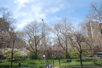 DSC_0127.JPG