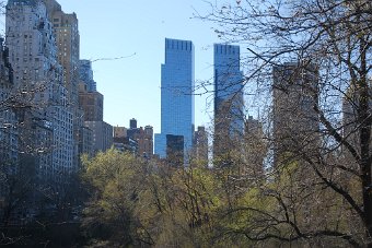 DSC_0141.JPG