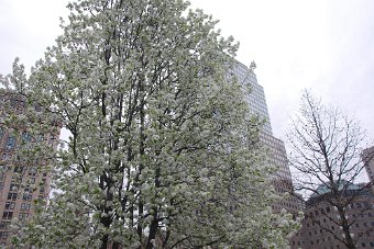 DSC_0164.JPG