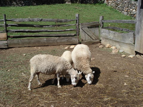 Old Sturbridge village 6