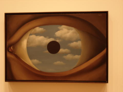 MOMA 5
