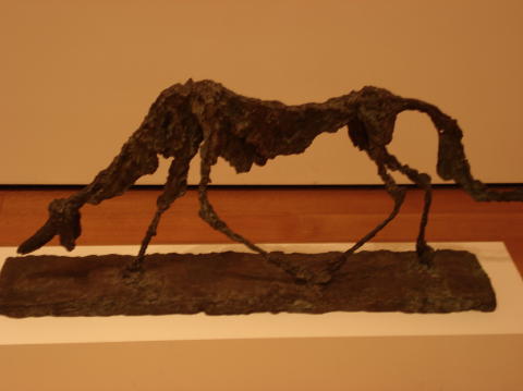 MOMA 15