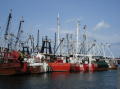 New Bedford 1