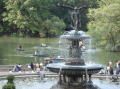 Central Park 5