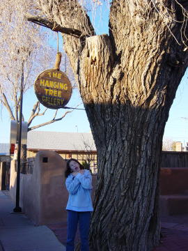 Albuquerque 7