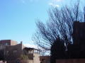 Albuquerque 1