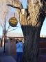 Albuquerque 7