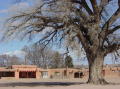 San Ildefonso pueblo 5