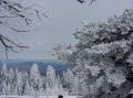 Sandia Peak 2