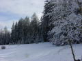 Sandia Peak 4
